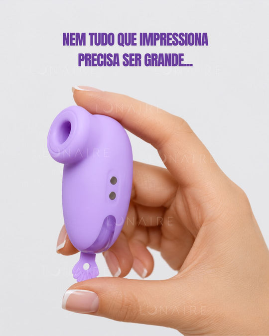 TOY MINISUGAR