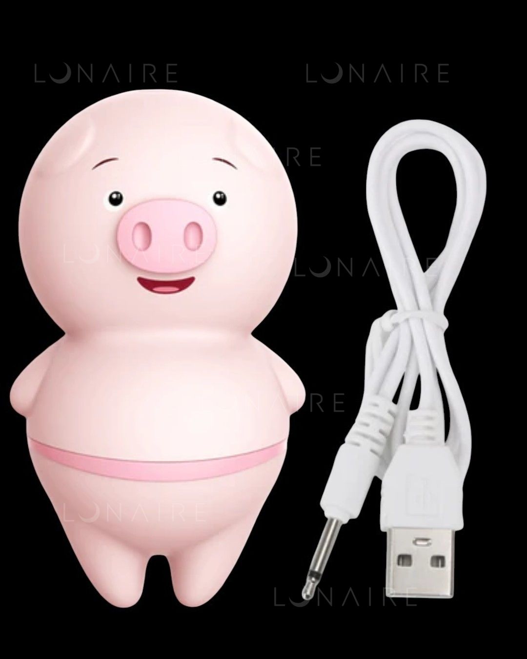 TOY PIG