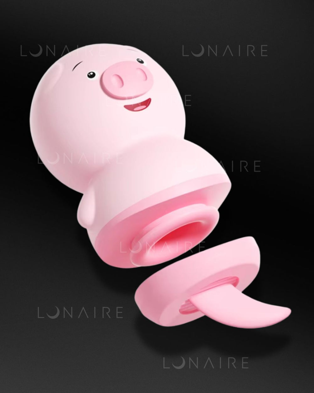 TOY PIG