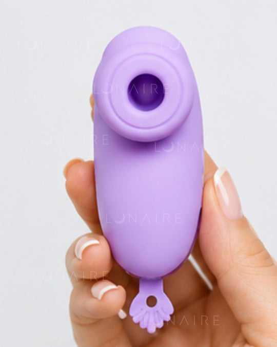 TOY MINISUGAR